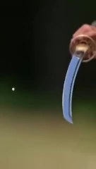 Katana Vs Bullet . Sword Vs Gun . Mr Beast in English