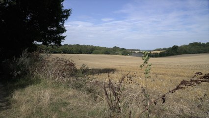 Plans for 450 new homes in rural Medway to be decided