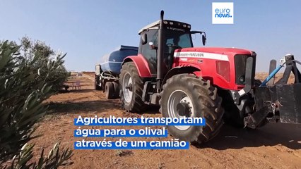 Seca na Grécia: lagos a secar, população obrigada a ir buscar água ao mar
