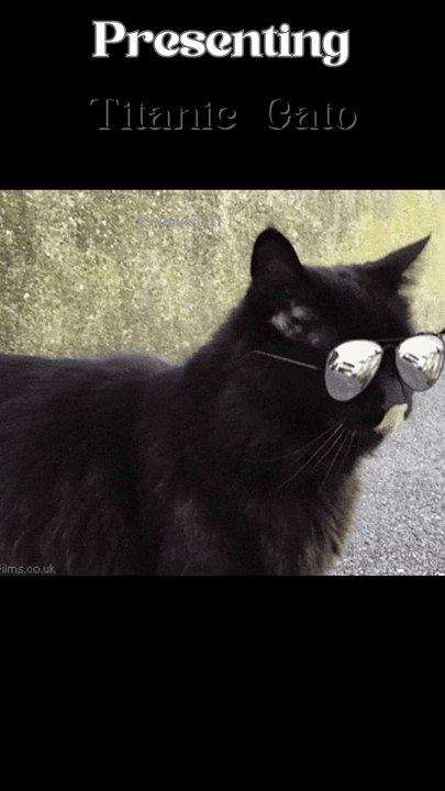 The Titanic Gato