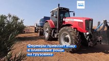 Греция: от засухи мелеют озёра