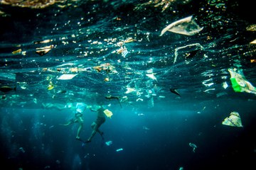 "Hay mucho trabajo por hacer...": la situación a la que se enfrentan en Mallorca debido a la contaminación del fondo marino