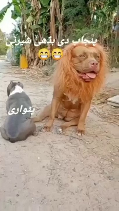 Imran Khan ❤️❤️❤️
