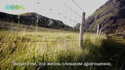 Справляться с горем, утратой и смертью как христианин | Брат Крис