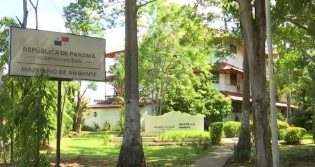 Ministerio Público adelanta investigación por posible lesión patrimonial en detrimento de MiAmbiente