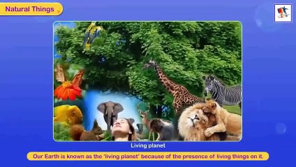 Natural And Man Made Things