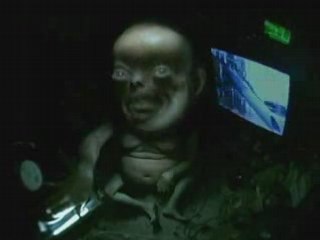 LOGBOY GOES WALKIES - Short Film [Dominic Hailstone.30 seg]