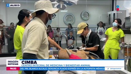En el Zoológico de Guadalajara, los visitantes pueden ver cómo atiende a los animales
