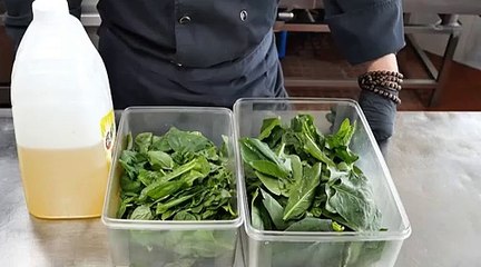 【KOROLL安全】ドイツの調理法