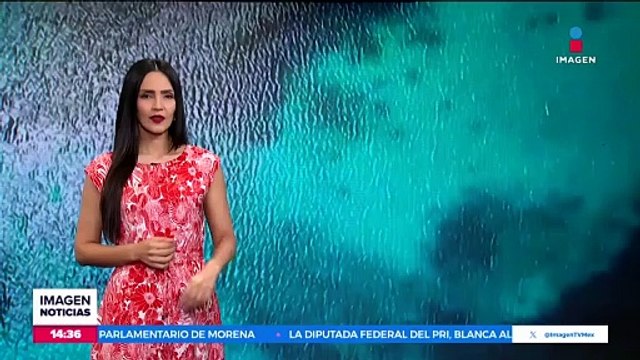Aparece muerta una ballena de bryde en playas de Brasil