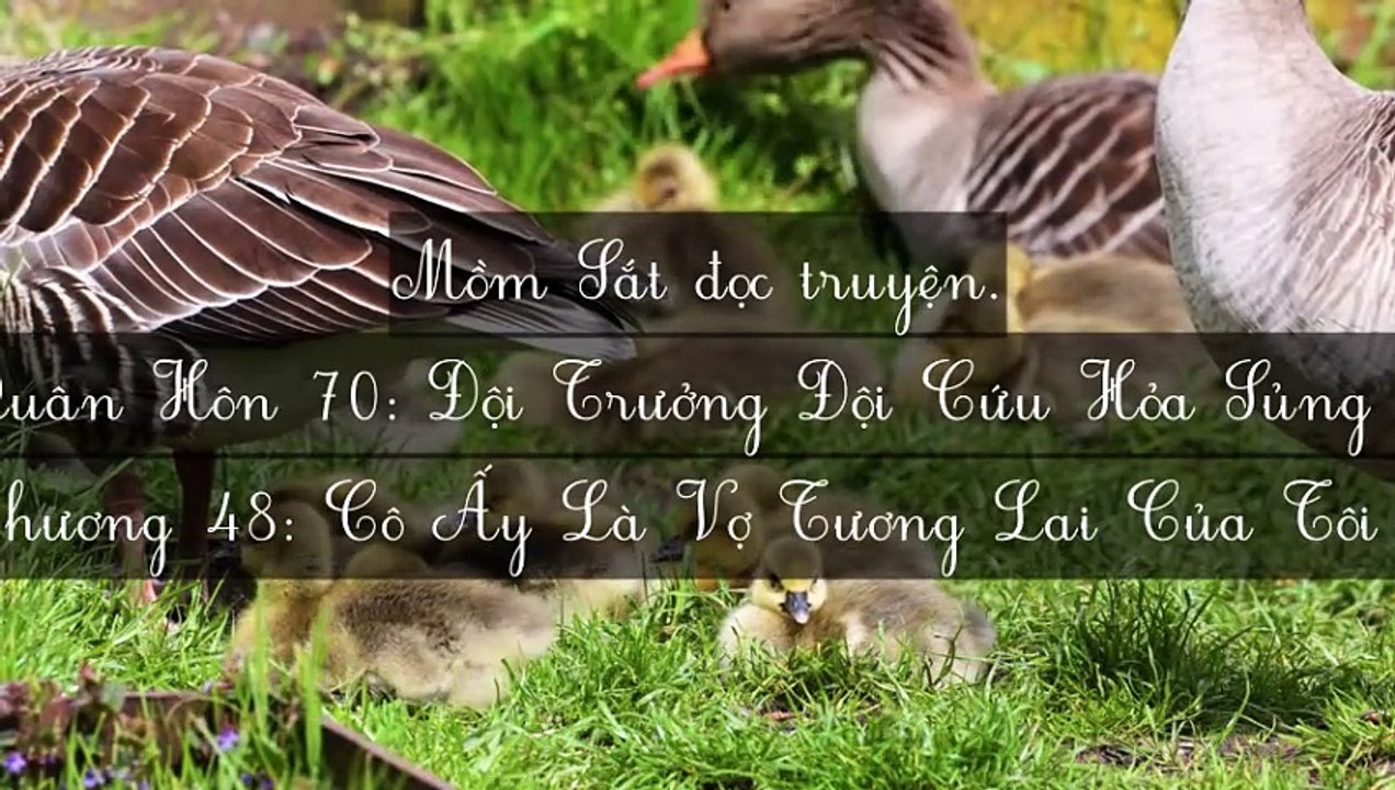 C47-C68 Quân Hôn 70: Đội Trưởng Đội Cứu Hỏa Sủng Thê Như Bảo