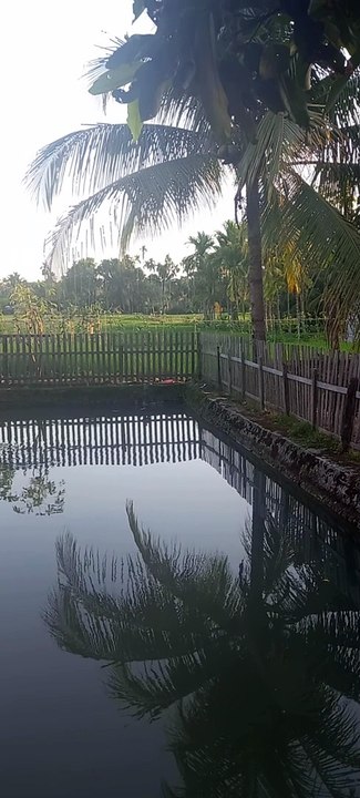 DIbukit lawang