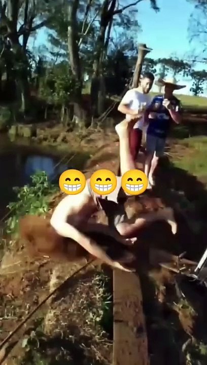 funny video Try not to laugh in a while