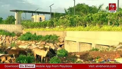 వైఎస్సార్సీపీ హయాంలో చెరువులు, వాగుల భూముల ఆక్రమణ