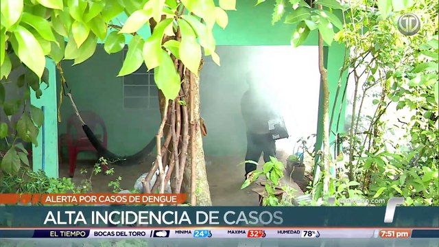Las Garzas y la 24 de Diciembre bajo la mira de las autoridades por casos de dengue
