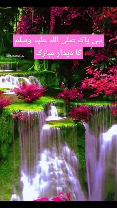 Nab_e_pak_ki_zairat_#shortsfeed_#shorts_#short_#islamic_#pakistan_#india_#bayan_#youtubeshorts(720p)