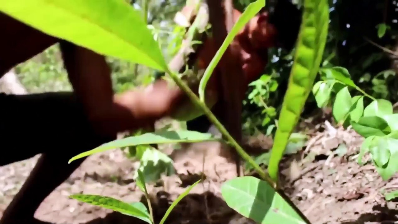 Epic Journey of Two Guys 1: 69 Days Discovering Underground Bedroom in forest | Camping Amazing