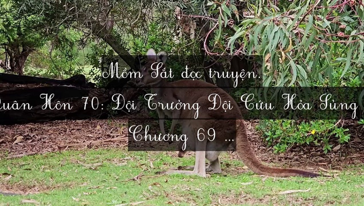 C69-C91 Quân Hôn 70: Đội Trưởng Đội Cứu Hỏa Sủng Thê Như Bảo