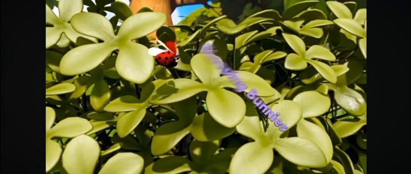 Hop Little bunnies...hop..hop..hop