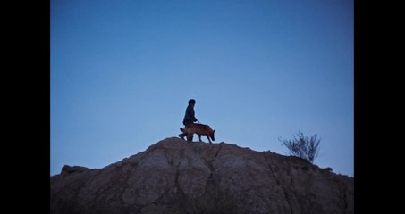 El ladrón de perros - Tráiler Oficial