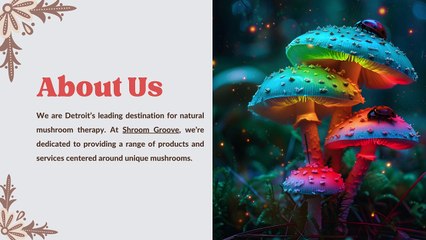 The Shroom Groove: Your Gateway to Mushroom Wellness