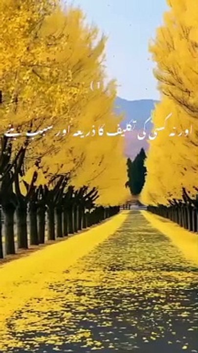 FIVE BEST HADEES! |BEST | VIRAL SHORT |ISLAMIC HADEES |SAHIHC AL BUKHARI |TRENDTING