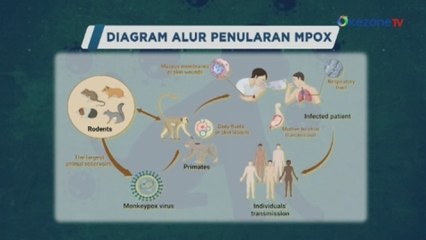 Diagram Alur Penularan Mpox atau Monkeypox