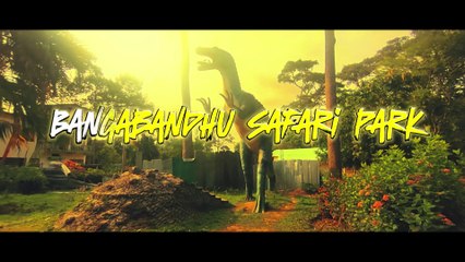 Secrets and Dangers at the Zoo | the zoo vlog