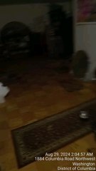 Here's my latest video