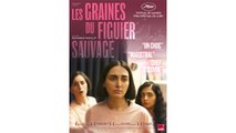 LES GRAINES DU FIGUIER SAUVAGE (2024) VOST HD