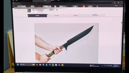 "폐업 후에도 불법 도검 판매"...무허가 업자 검거 / YTN