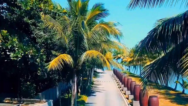 Âm nhạc thư giãn trị liệu với cảnh đẹp nhân gian - Cảnh đẹp điền viên chữa lành mọi cảm xúc