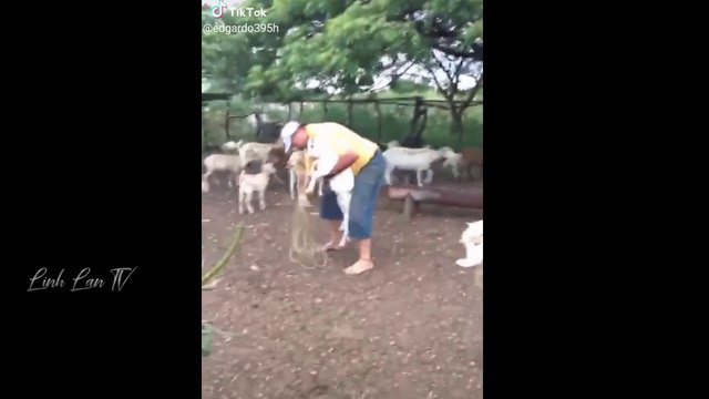 Epic Fail Compilation: Hilarious Bloopers and Blunders!