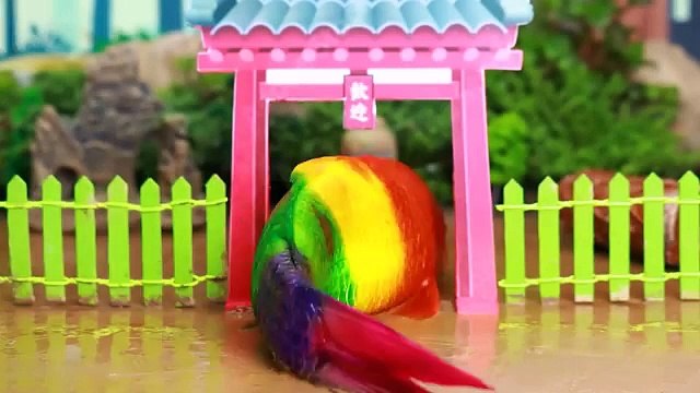 Stop Motion ASMR - Kungfu Fish and battle of Koifish carp and Catfish Eels