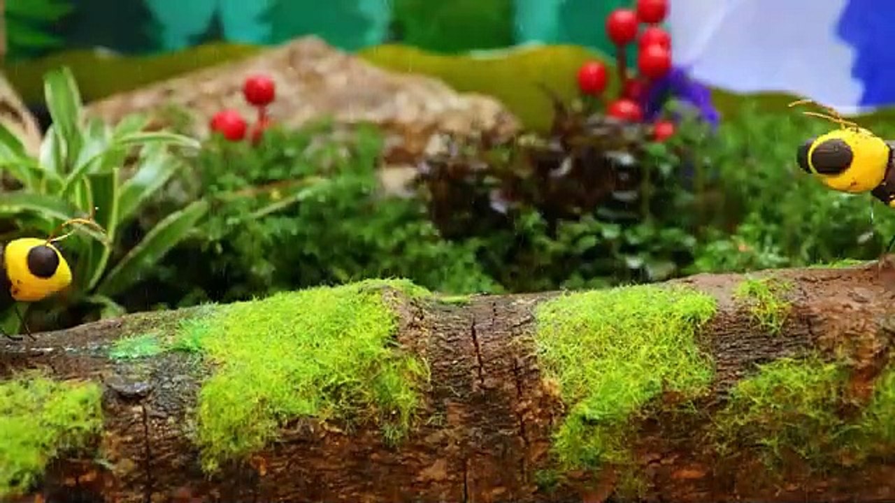 Stop Motion ASMR - Batalha de peixes -