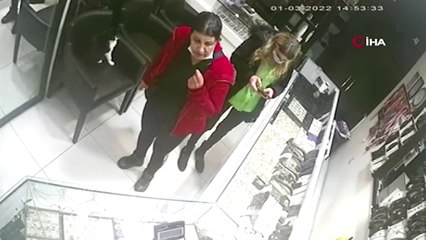 Bulunduğu yere köpekler bile giremiyor... Adana'nın asabi kedisi 'Kızım'