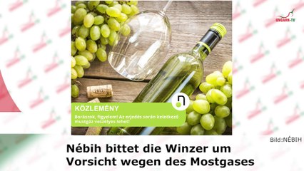Kurznachrichten aus Ungarn am 29.08.2024 // Handyverbot an Schulen!