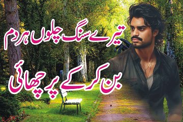 DIL MAANG RHA HY NOHLAT Hindi Dubbed Movie Song lovers