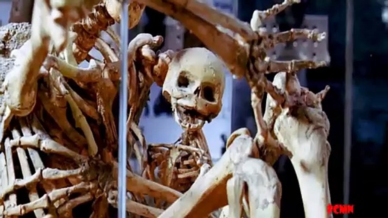 Được tiêm huyết thanh siêu năng lực trở thành siêu anh hùng - Review phim hay - PHIM CHO MỌI NHÀ