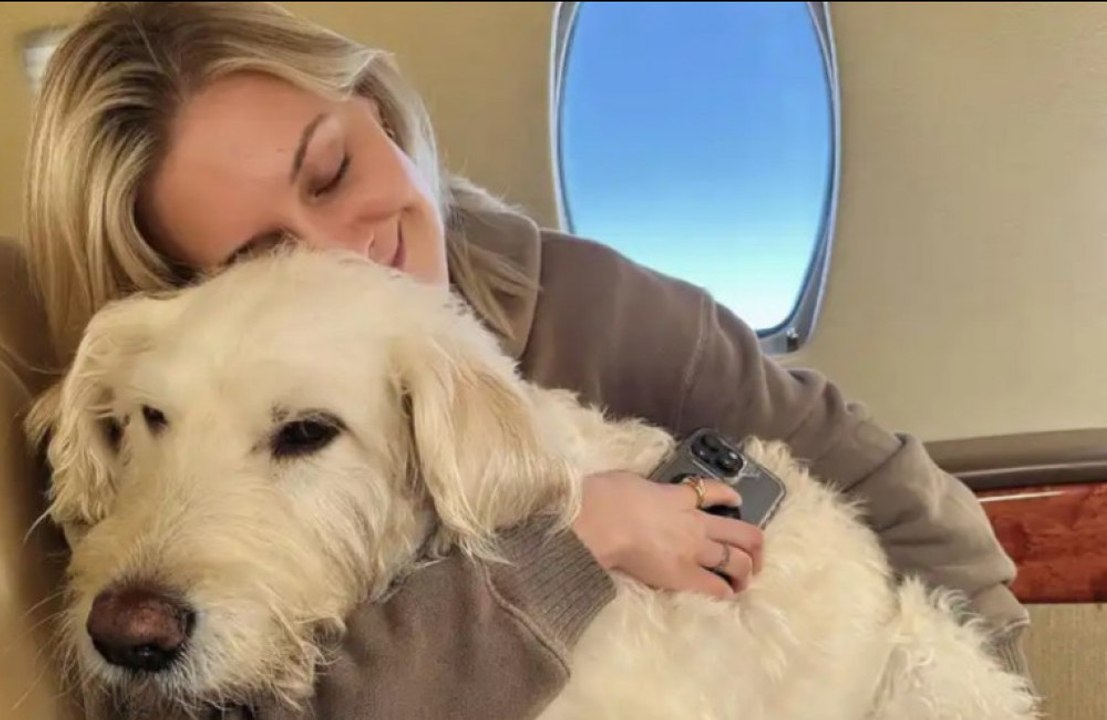 Der Hund von Kelsea Ballerini hat inoperablen Krebs