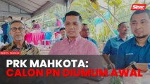 PRK Mahkota: PN umum calon seminggu sebelum penamaan calon
