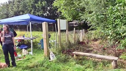 Ever heard of a Tint Forest? Its a Japanese planting method and its already here in the Black Country.