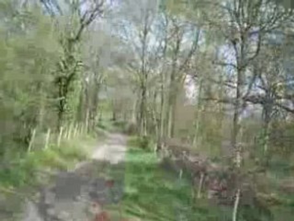 galop foret d'angervilliers