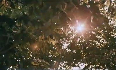 Virgin Suicides - 30 août