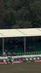 Mex sports cricket & football video