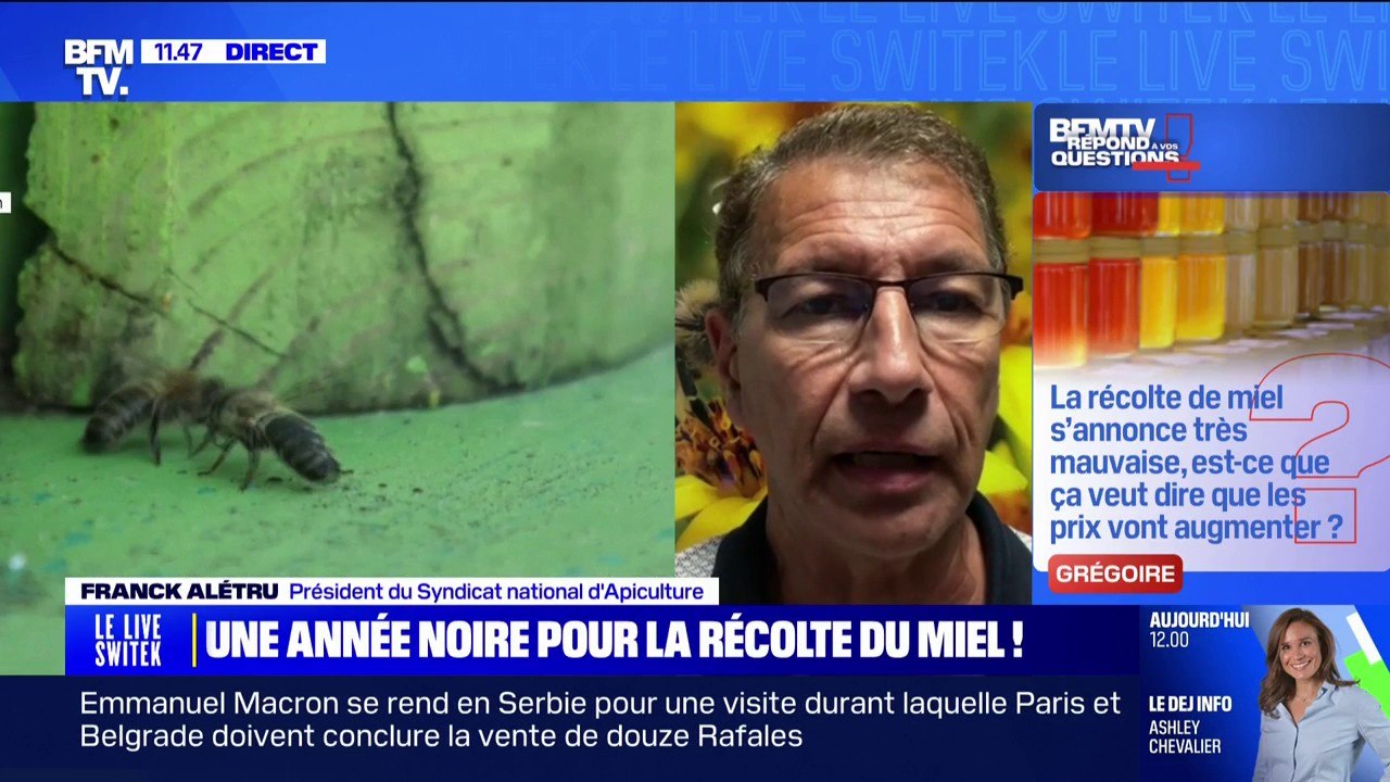 La récolte de miel s'annonce très mauvaise, les prix vont-ils augmenter? BFMTV répond à vos questions