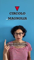 Concerti all’Aperto: Vivi la Musica sotto le Stelle ✨