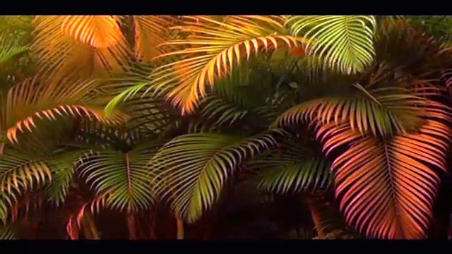 DIANA KRALL — You're My Thrill | DIANA KRALL: LIVE IN RIO – (2008) | (LIMITED EDITION)