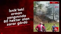 İznik'teki orman yangınında 80 hektar alan zarar gördü