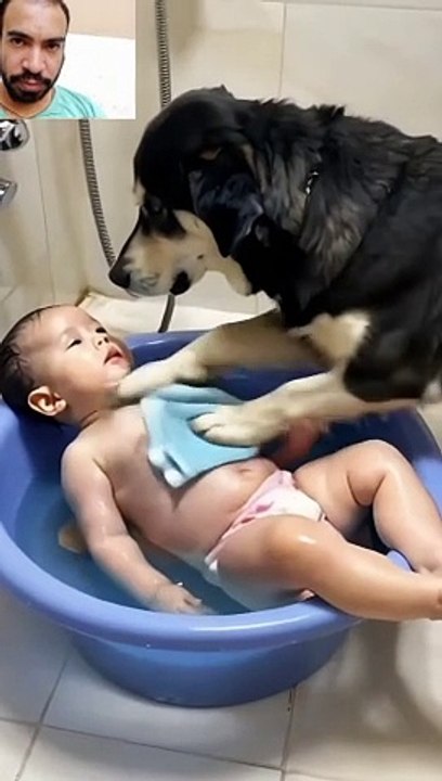 فيديو مضحك عن الكلب.Funny video about dog.